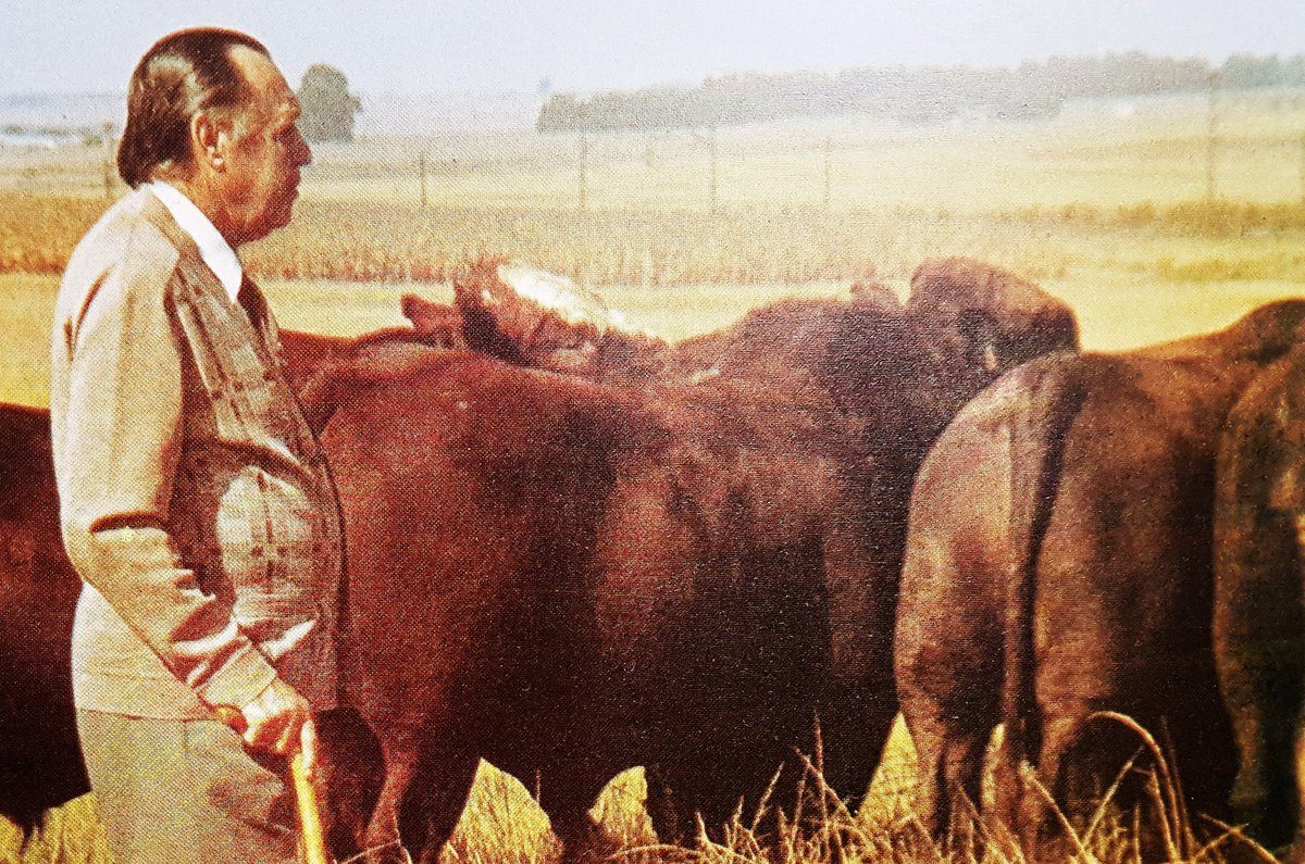 Jan Bonsma e sua pesquisa para a pecuária Bonsmara Barra Grande